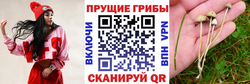Псилоцибиновые грибы GOLDEN TEACHER  MEGA ТОР  Шагонар 