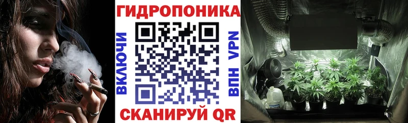 хочу OMG ONION Бошки марихуана MAZAR Шагонар
